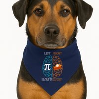 I Love Pi Did Someone Say Pie Brain Left Right USA-Made Doggie Bandana