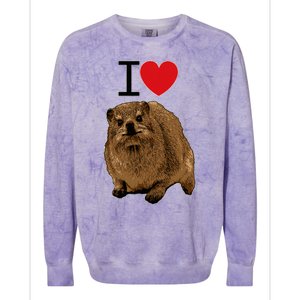 I Love Rock Hyrax I Love Daisies I Love Rock Rabbit Colorblast Crewneck Sweatshirt