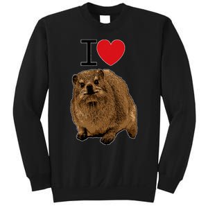 I Love Rock Hyrax I Love Daisies I Love Rock Rabbit Sweatshirt