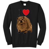 I Love Rock Hyrax I Love Daisies I Love Rock Rabbit Sweatshirt