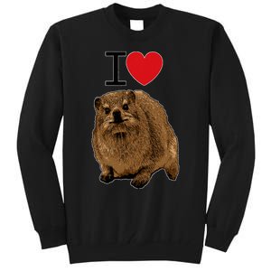 I Love Rock Hyrax I Love Daisies I Love Rock Rabbit Tall Sweatshirt