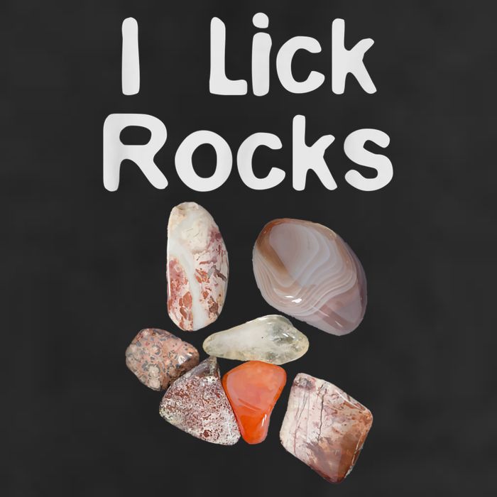 I Lick Rocks Agate Collector Geologist Mineral Design 25L Jumbo Tote