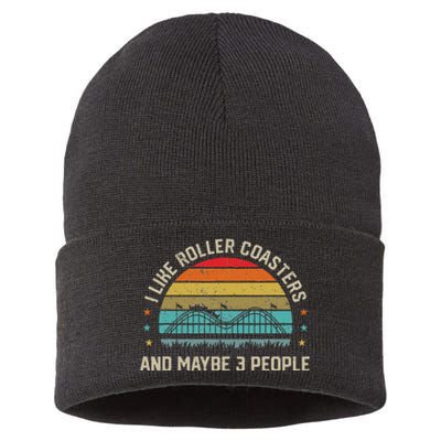 I Like Roller Coasters & Maybe 3 People Amusement Park Sustainable Knit Beanie