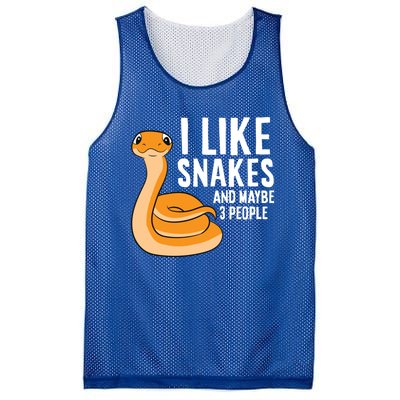 I Like Snakes And Maybe 3 People Snake Reptile Lover Gift Mesh Reversible Basketball Jersey Tank