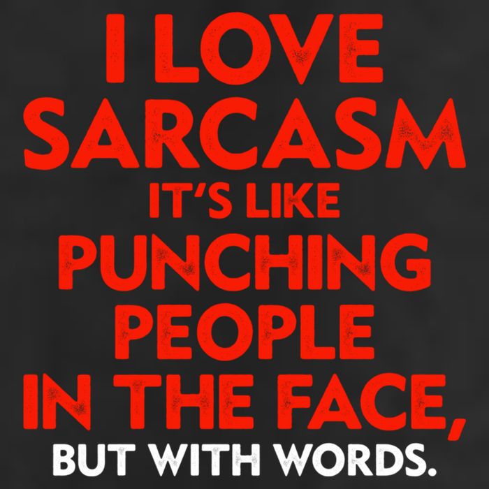 I Love Sarcasm Its Like Punching People In The Face 15oz Campfire Ceramic Mug