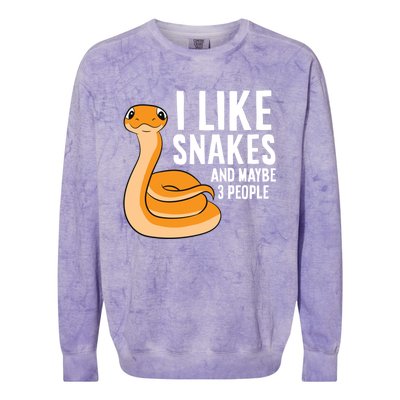 I Like Snakes And Maybe 3 People Snake Reptile Lover Cool Gift Colorblast Crewneck Sweatshirt