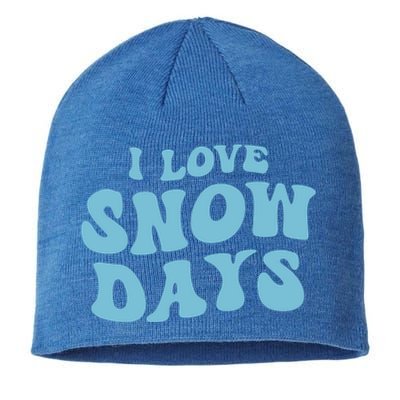 I Love Snow Days Snow Day Supporter Snow Lover Teacher Gift Sustainable Beanie