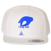 I Love Salt For Man Woman Wool Snapback Cap