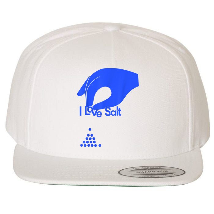 I Love Salt For Man Woman Wool Snapback Cap