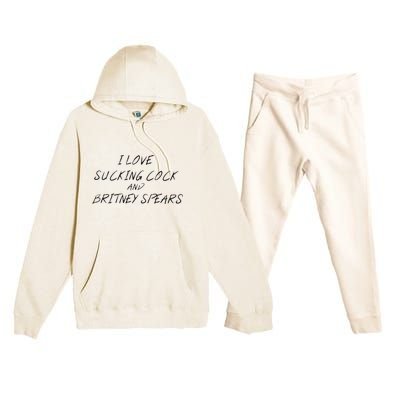 I Love Sucking Cock And Britney Spear Premium Hooded Sweatsuit Set