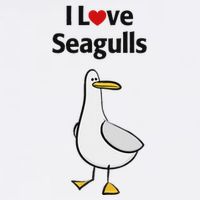 I Love Seagulls 11oz C Handle Ceramic Mug