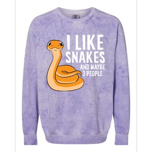 I Like Snakes And Maybe 3 People Snake Reptile Lover Colorblast Crewneck Sweatshirt