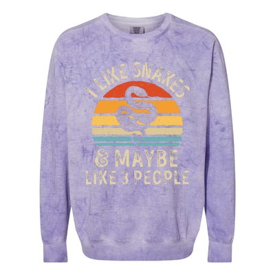 I Like Snakes And Maybe 3 People Snake Reptile Lover Retro Colorblast Crewneck Sweatshirt