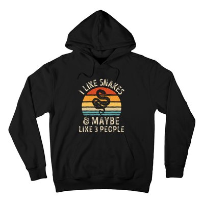 I Like Snakes And Maybe 3 People Snake Reptile Lover Retro Hoodie