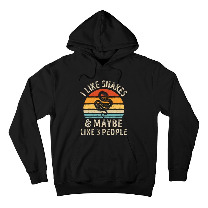 I Like Snakes And Maybe 3 People Snake Reptile Lover Retro Hoodie