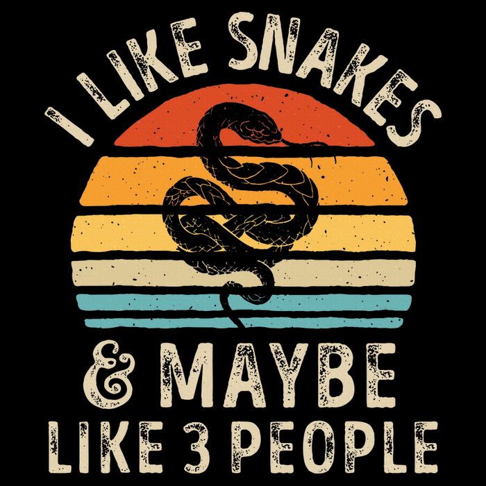 I Like Snakes And Maybe 3 People Snake Reptile Lover Retro Poster