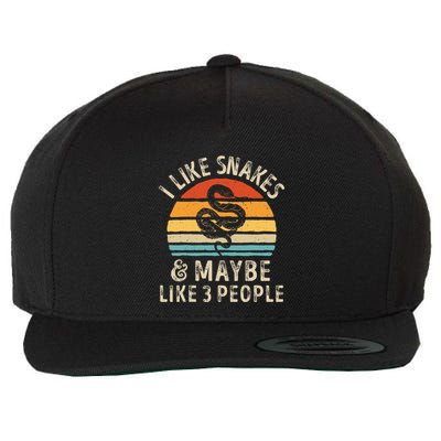 I Like Snakes And Maybe 3 People Snake Reptile Lover Retro Wool Snapback Cap