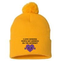 I love sending people my address on the internet Pom Pom 12in Knit Beanie