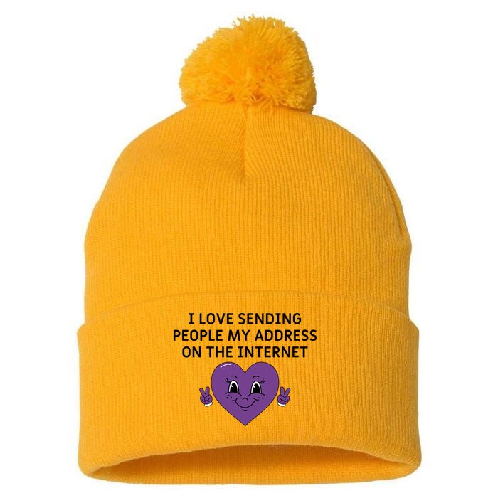 I love sending people my address on the internet Pom Pom 12in Knit Beanie