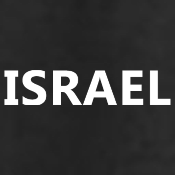 Israel Love Stand With Israel 7 Panel Mesh Trucker Snapback Hat
