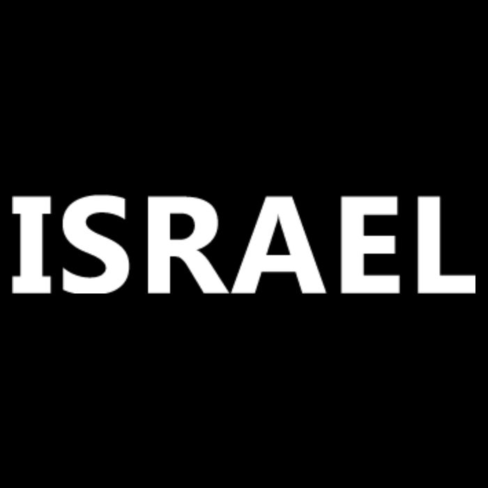 Israel Love Stand With Israel Toddler T-Shirt