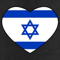 Israel Love Stand With Israel 7 Panel Mesh Trucker Snapback Hat