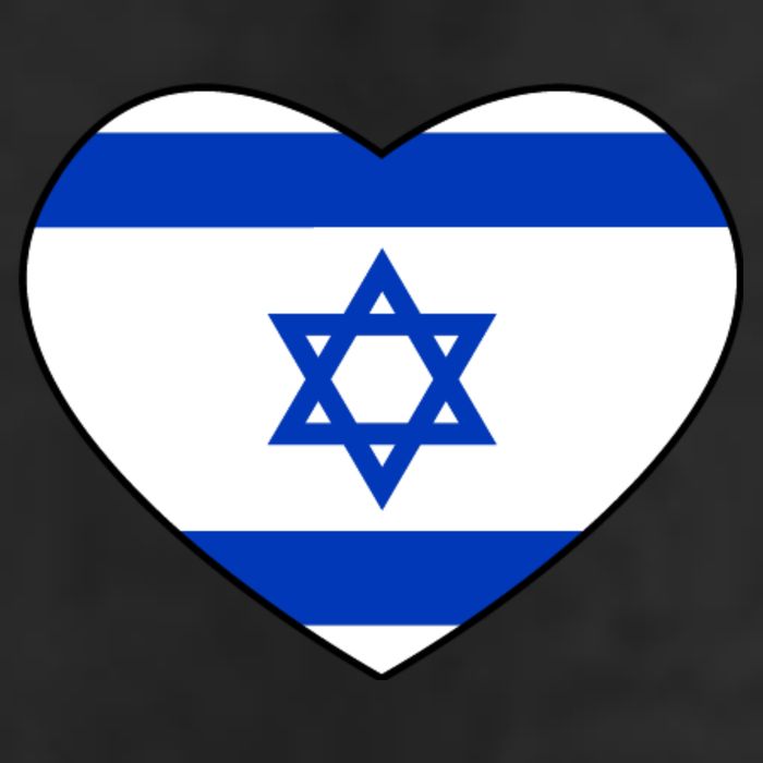 Israel Love Stand With Israel 7 Panel Mesh Trucker Snapback Hat