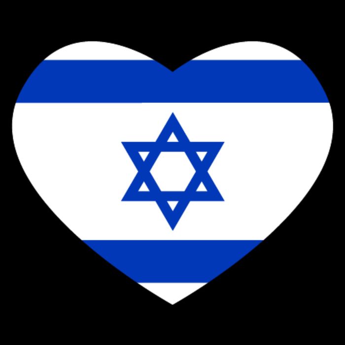 Israel Love Stand With Israel Button