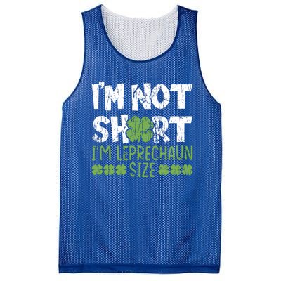 I'm Leprechaun Size I Am Not Short I Am Leprechaun Size Cute Gift Mesh Reversible Basketball Jersey Tank