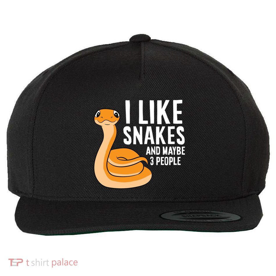 I Like Snakes And Maybe 3 People Snake Reptile Lover Cool Gift Wool Snapback Cap
