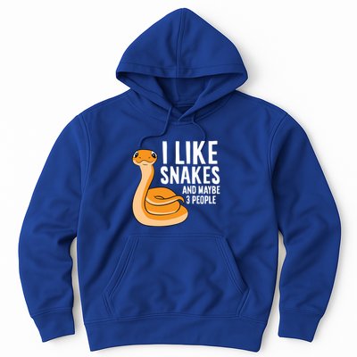 I Like Snakes And Maybe 3 People Snake Reptile Lover Cool Gift Hoodie