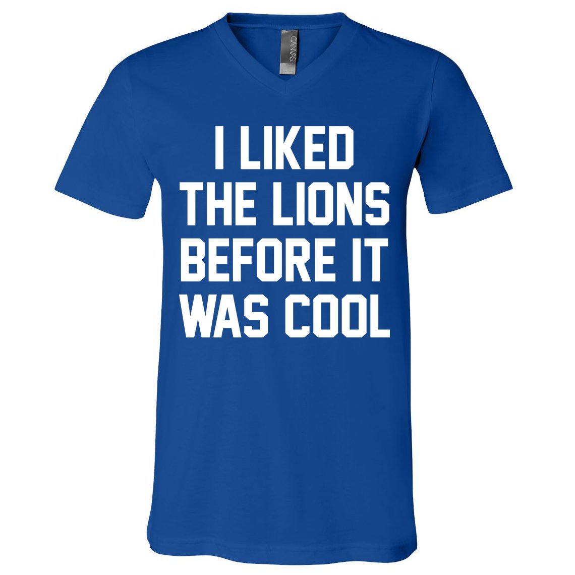 I Liked The Lions Before It Was Cool Funny V-Neck T-Shirt