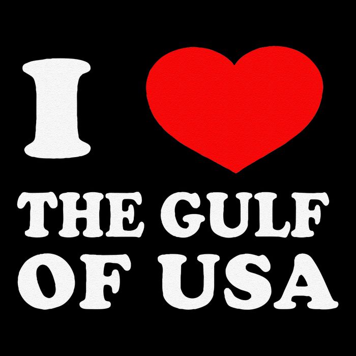 I Love The Gulf Of Usa Funny 2025 Dank Meme Cringe Visor