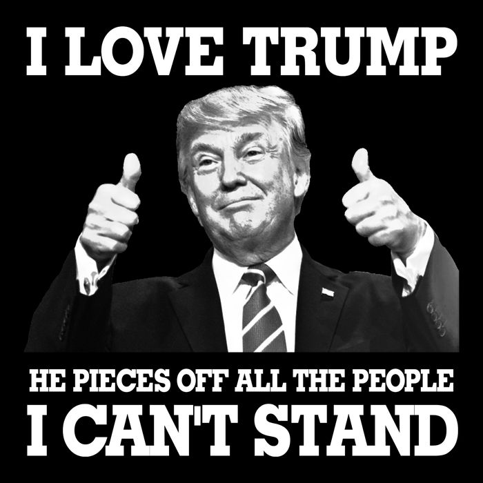 I Love Trump He Pieces Off All The People I Cant Stand 16 in Basic Backpack