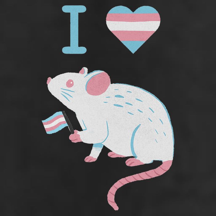 I Love Trans Mice Mouse Political  7 Panel Mesh Trucker Snapback Hat