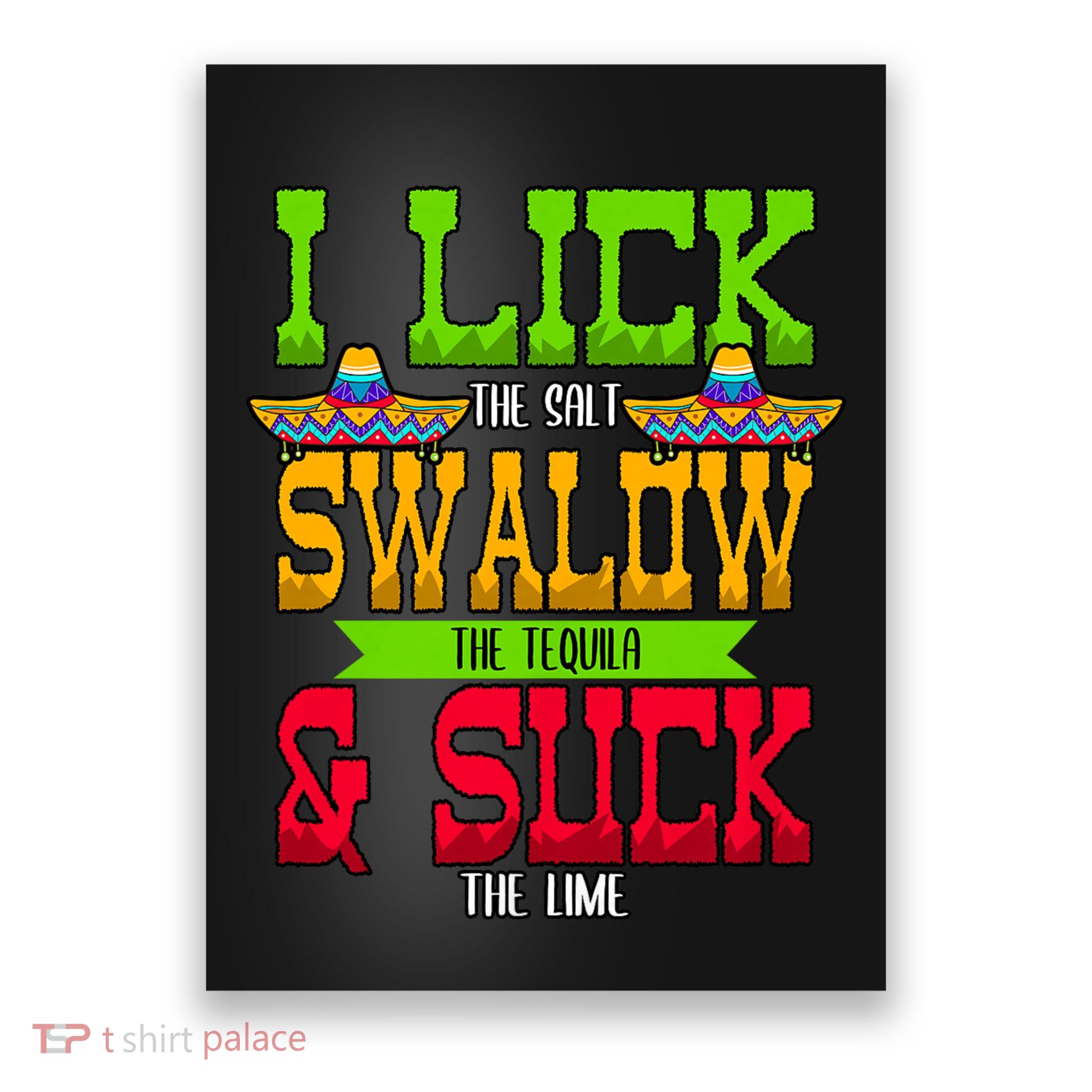 I Lick The Salt Swallow The Tequila Cinco De Mayo Mexican Party Fiesta May 5th Poster