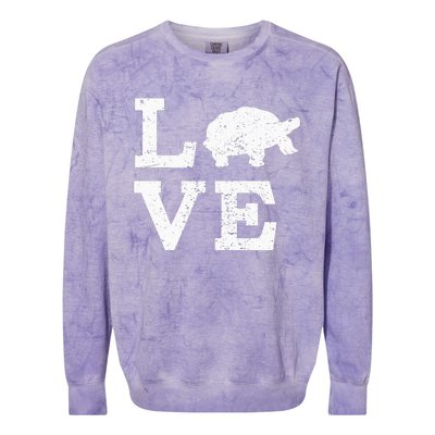 I Love Turtles Tortoises Colorblast Crewneck Sweatshirt