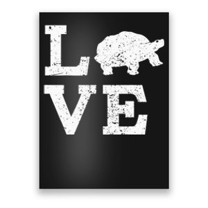 I Love Turtles Tortoises Poster