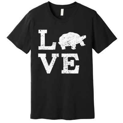 I Love Turtles Tortoises Premium T-Shirt