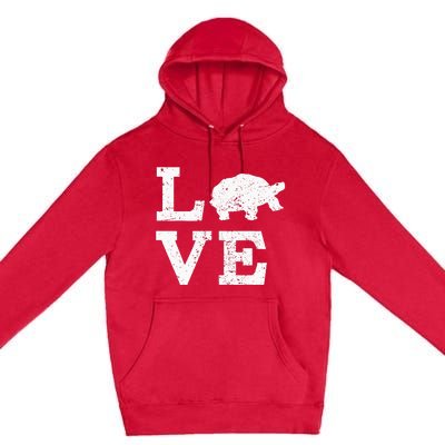 I Love Turtles Tortoises Premium Pullover Hoodie