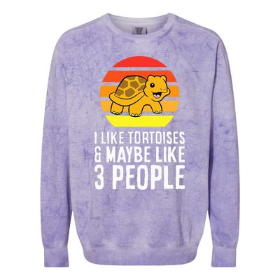 I Like Tortoises And Maybe Like 3 People Colorblast Crewneck Sweatshirt