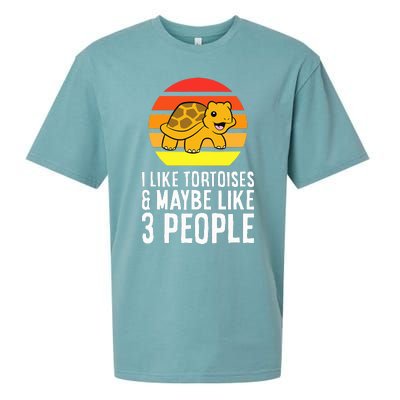 I Like Tortoises And Maybe Like 3 People Sueded Cloud Jersey T-Shirt