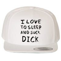 I Love To Sleep And Suck Dick Wool Snapback Cap