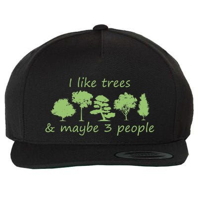 I Like Trees & Maybe 3 People Nature Tree Lover Tree Hugger Wool Snapback Cap