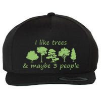 I Like Trees & Maybe 3 People Nature Tree Lover Tree Hugger Wool Snapback Cap