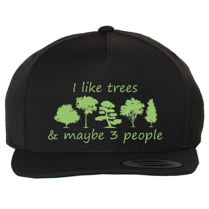 I Like Trees & Maybe 3 People Nature Tree Lover Tree Hugger Wool Snapback Cap