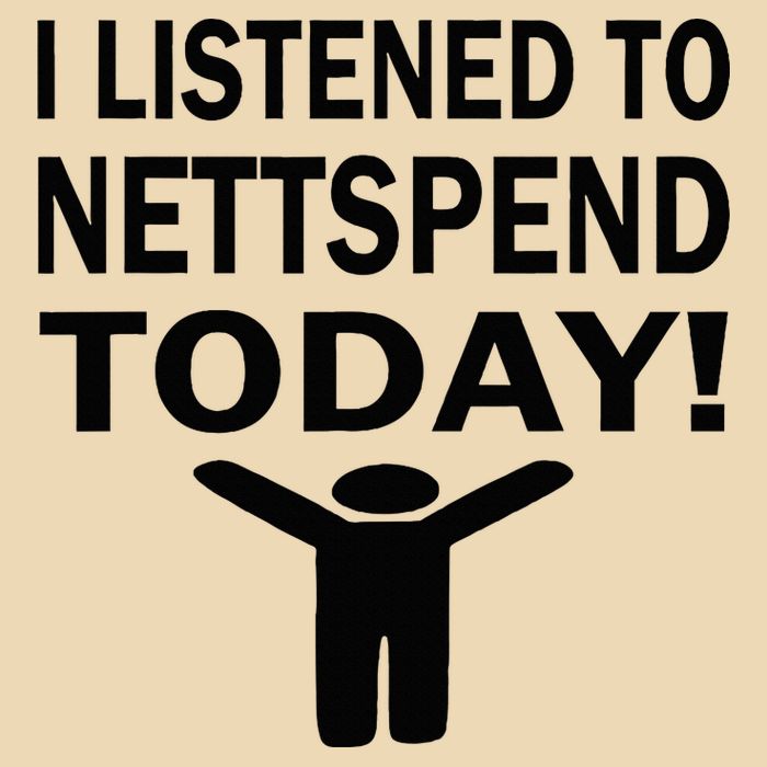 I Listened To Nettspend Today Concert Music Bag