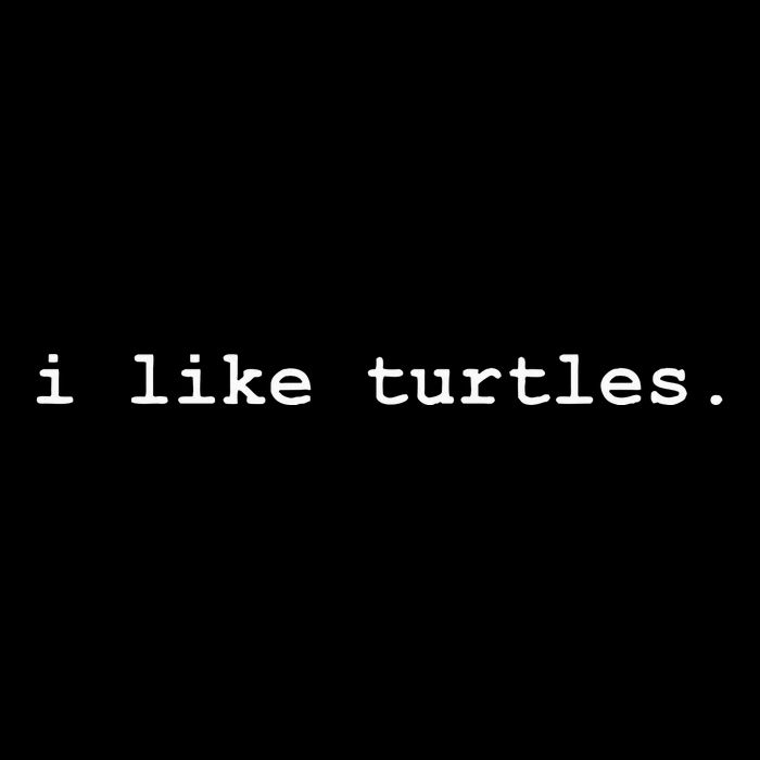 I Like Turtles Tortoises Wool Snapback Cap