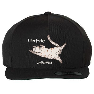 I Like To Play With My Pussy Funny Cat Humor Kitty Lover Wool Snapback Cap