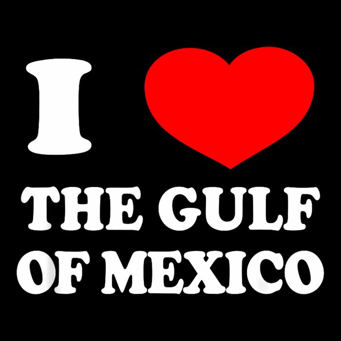 I Love The Gulf Of Mexico Usa Funny 2025 Dank Meme Cringe Kids T-Shirt